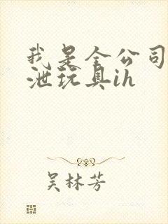 我是全公司的发泄玩具ih封面