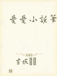 爱爱小说笔趣阁