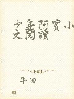 少年阿宾小说全文阅读封面