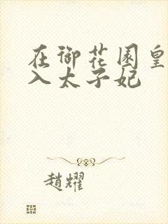 在御花园皇上进入太子妃封面