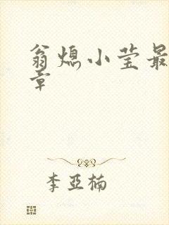 翁熄小莹最新节章封面