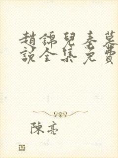 赵锦儿秦慕修小说全集免费封面