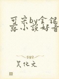 可宋by金银花露小说好看吗
