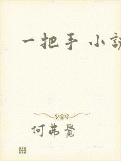 一把手 小说