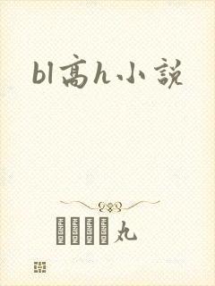 bl高h小说