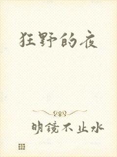 狂野的夜