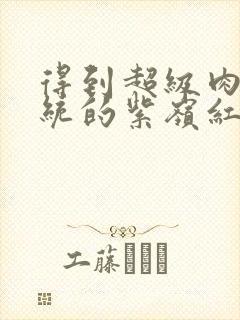 得到超级肉禽系统的紫岭红山