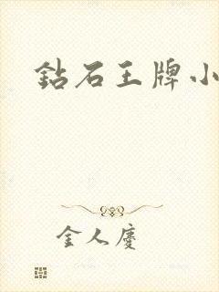 钻石王牌小说封面