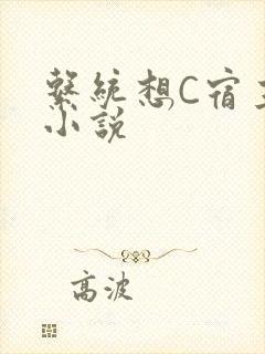 系统想C宿主的小说