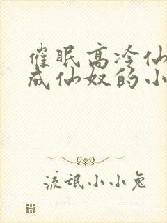 催眠高冷仙奴变成仙奴的小说