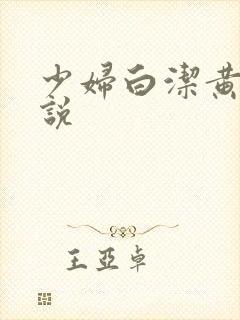 少妇白洁黄色小说