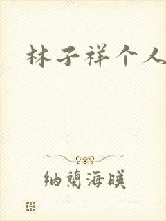 林子祥个人简历封面