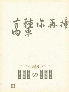 有种你再撞一下肉车