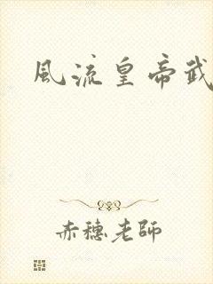 风流皇帝武则天封面