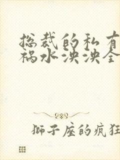 总裁的私有宝贝祸水泱泱全文阅读