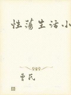 性荡生活小说封面
