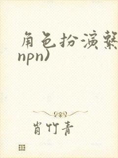 角色扮演系统(npn)