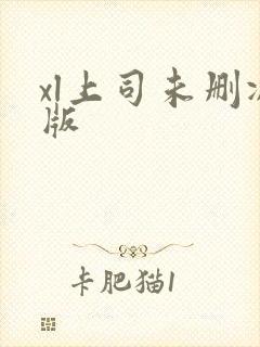 xl上司未删减版封面