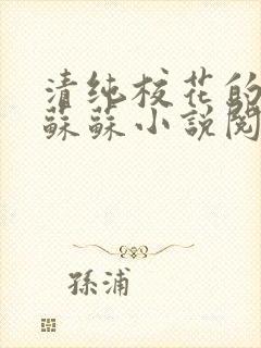 清纯校花的日常苏苏小说阅读全文封面