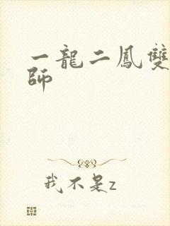 一龙二凤双飞老师封面