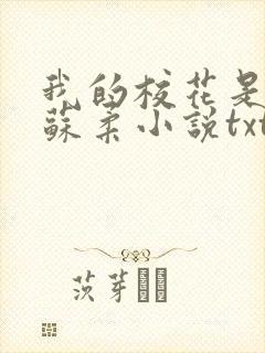 我的校花是福姬苏柔小说txt