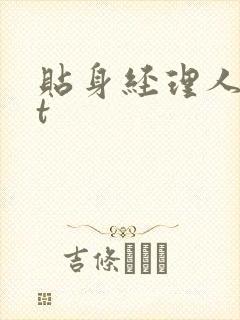 贴身经理人txt封面