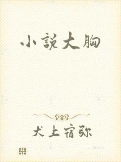 小说大胸封面