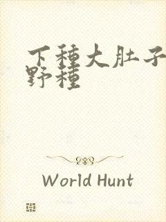 下种大肚子怀孕野种