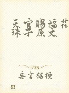 天官赐福花怜塞珠子原文封面