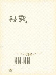 秘战