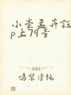 小豪孟卉钰慧三p上79章