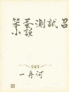 笨蛋测试召唤兽小说