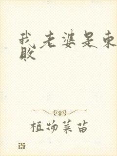 我老婆是东方不败封面