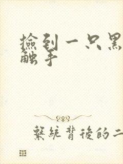 捡到一只黑心小触手