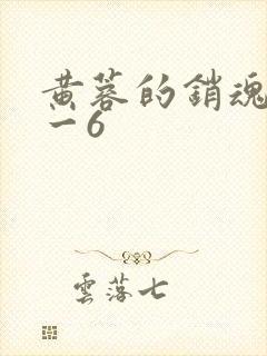 黄蓉的销魂夜1一6封面