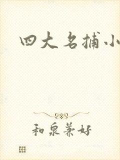 四大名捕小说封面