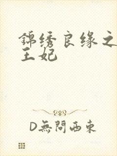 锦绣良缘之北地王妃