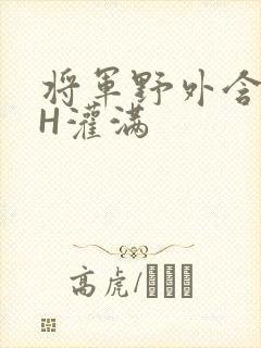 将军野外含公主H灌满