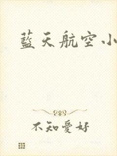 蓝天航空小说封面