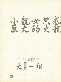 小龙女只感觉那巨大的火龙枪封面