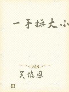 一手抚大小说