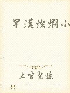 星汉灿烂小说