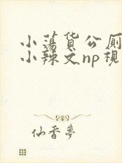 小荡货公厕h文小辣文np视频