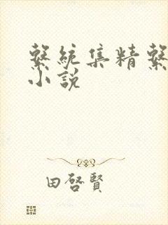 系统集精系统 小说