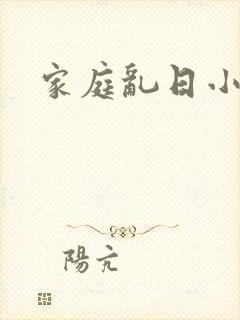 家庭乱日小说