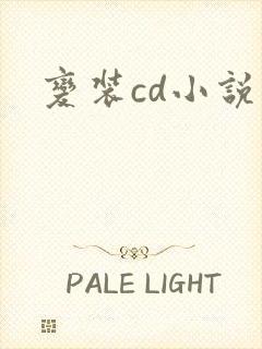 变装cd小说封面