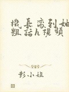 机长脔到她哭h粗话h视频封面