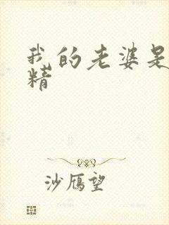 我的老婆是狐狸精封面