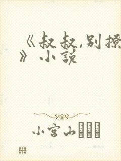 《叔叔,别撩我》小说