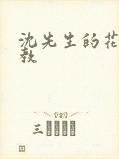 沈先生的花式管教